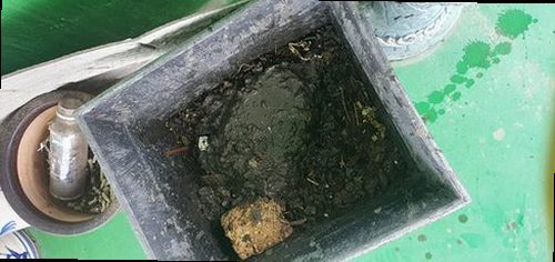 도봉구 하수구막힘 배수가 느려져 물이 고인 주방 싱크대 주변