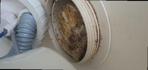 도봉구 하수구막힘 거름망과 배수구 주변을 정기적으로 관리하는 방법